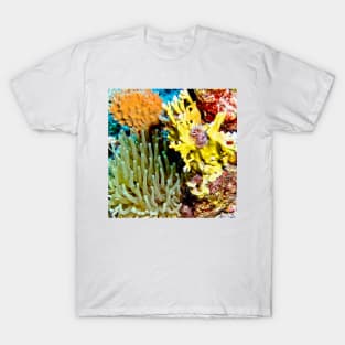 Sea Anemone and Coral Wall Collage T-Shirt
